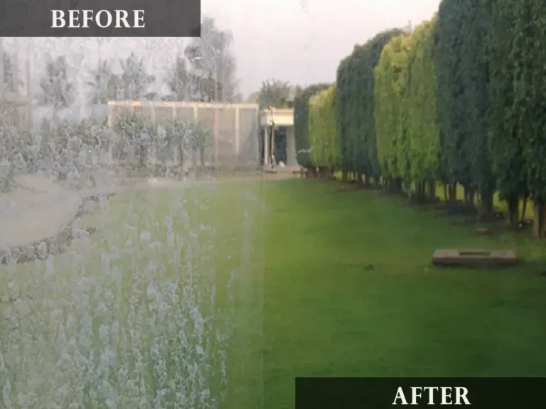 View Obstructed by Mineral-Stained Glass vs Clear Window View of Garden
