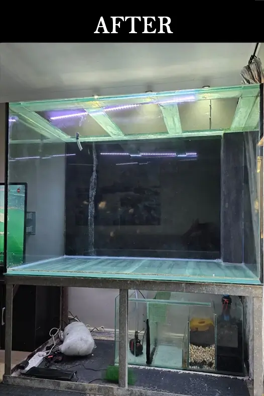 Clean restored aquarium tank with clear glass and visible filtration system setup