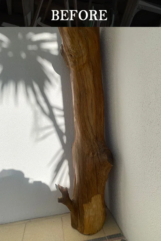 Weathered tree log leaning against a white wall in natural sunlight